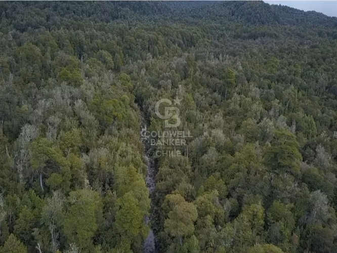 Parcela de 1 hectárea Río Chamiza - Imagen 11