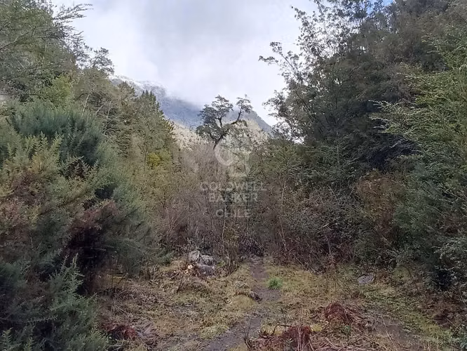 Parcela de 1 hectárea Río Chamiza - Imagen 5