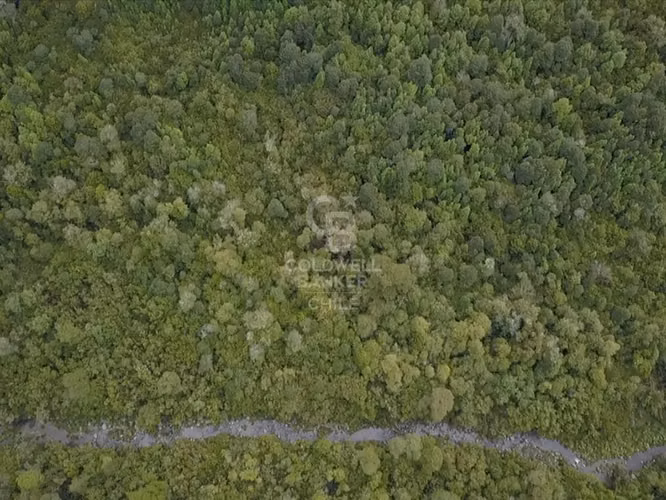 Parcela de 1 hectárea Río Chamiza - Imagen 12