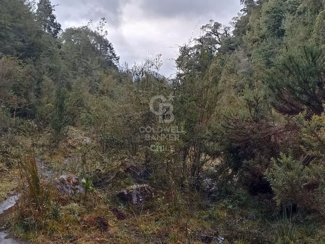 Parcela de 1 hectárea Río Chamiza - Imagen 7