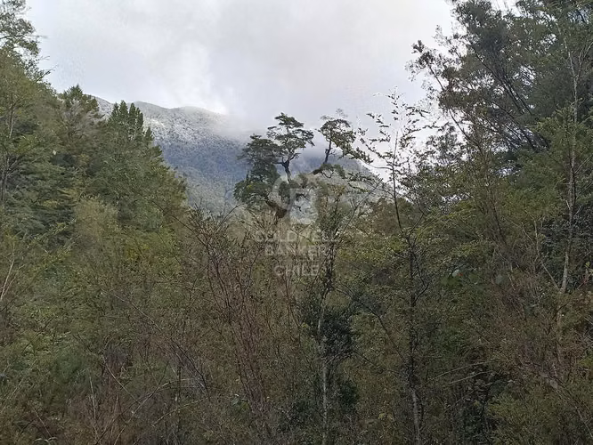 Parcela de 1 hectárea Río Chamiza - Imagen 6