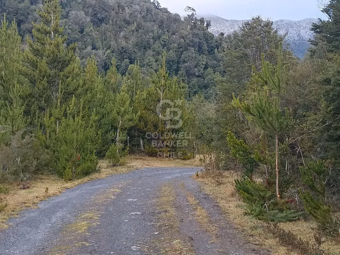 Parcela de 1 hectárea Río Chamiza - Imagen 3