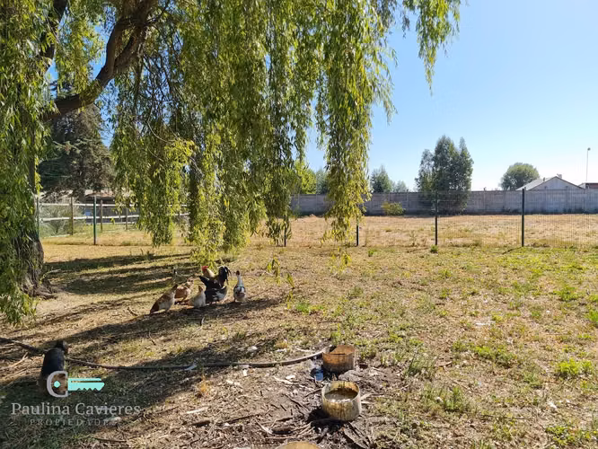 Vendo propiedad en Teno; quincho, piscina, cancha tenis, uso habitacional o comercial