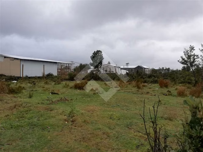 Sitio en venta en Puerto Montt - Imagen 10