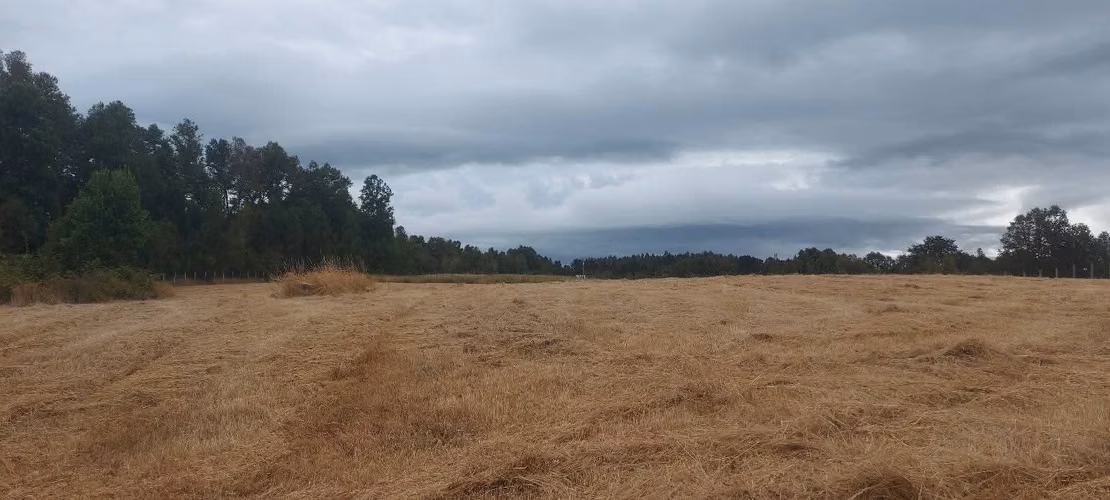 ¡Parcela con linda vista a 15 minutos de Valdivia, agua y luz! - Imagen 9