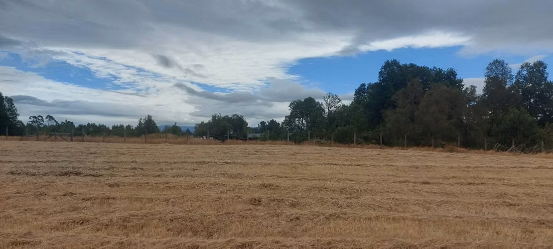 ¡Parcela con linda vista a 15 minutos de Valdivia, agua y luz! - Imagen 12