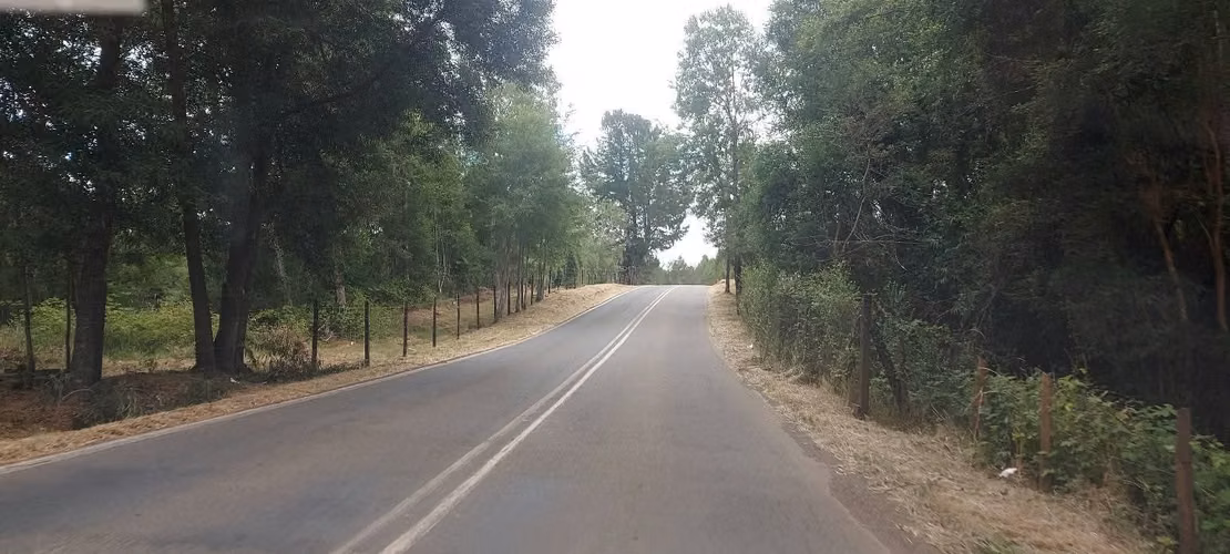 ¡Parcela con linda vista a 15 minutos de Valdivia, agua y luz! - Imagen 3
