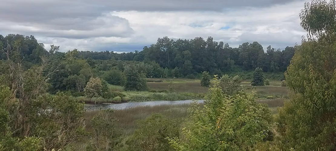 ¡Parcela con linda vista a 15 minutos de Valdivia, agua y luz! - Imagen 5