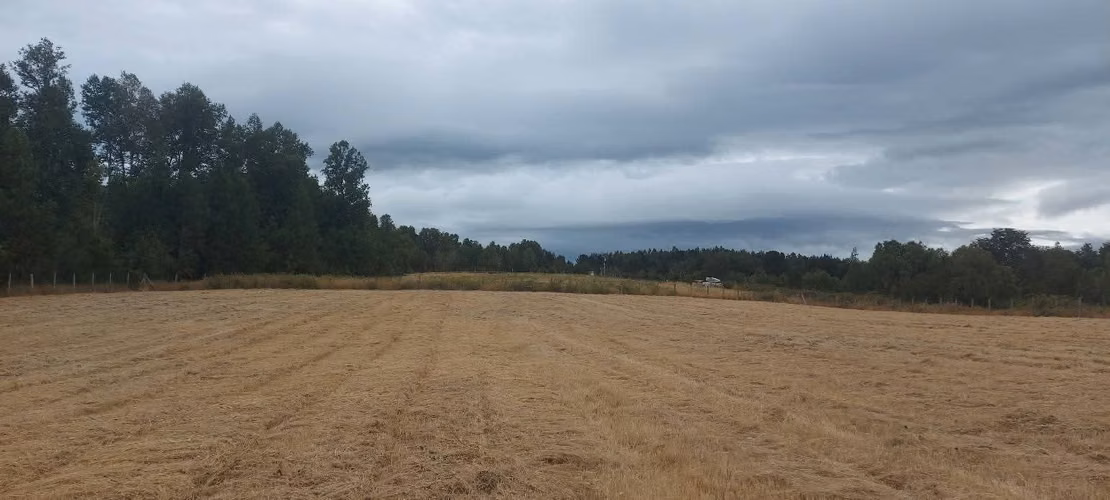 ¡Parcela con linda vista a 15 minutos de Valdivia, agua y luz! - Imagen 13