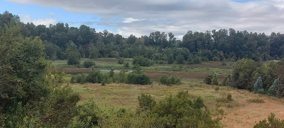 ¡Parcela con linda vista a 15 minutos de Valdivia, agua y luz! - Imagen 11