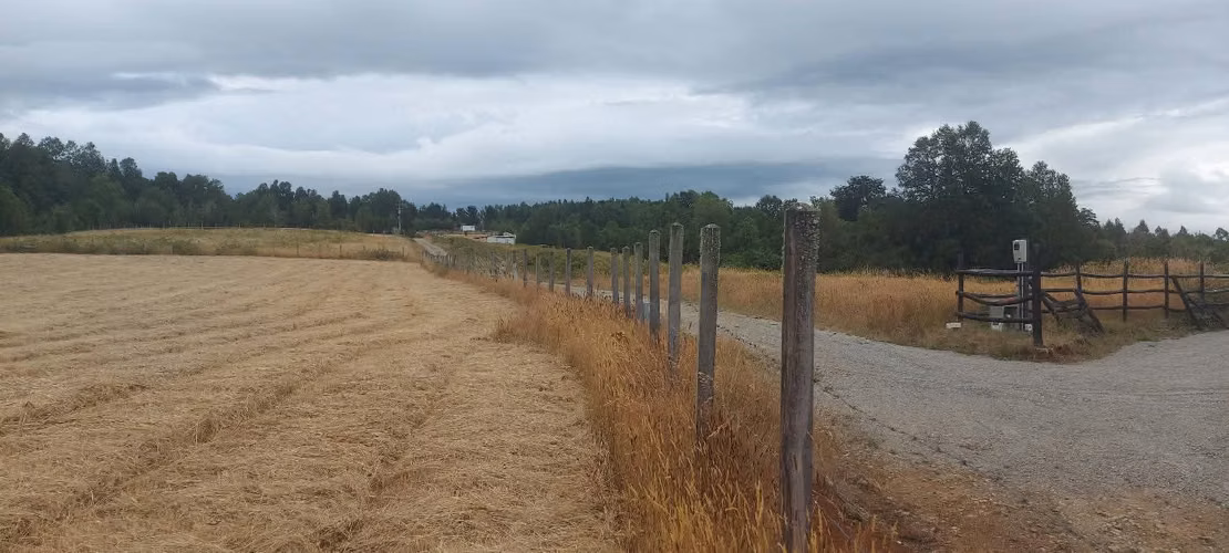 ¡Parcela con linda vista a 15 minutos de Valdivia, agua y luz! - Imagen 8