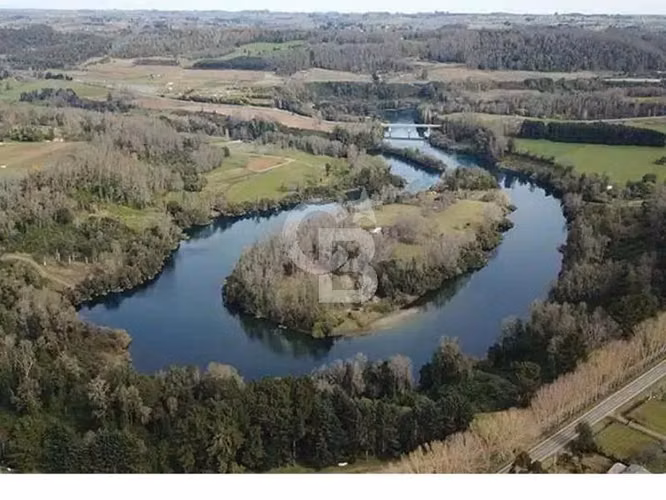 Isla Privada en Lago Ranco: Naturaleza, Privacidad y Río