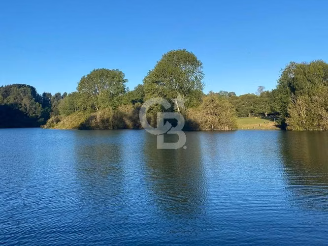 Isla Privada en Lago Ranco: Naturaleza, Privacidad y Río