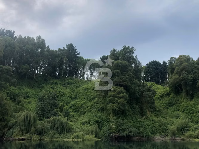 Isla Privada en Lago Ranco: Naturaleza, Privacidad y Río