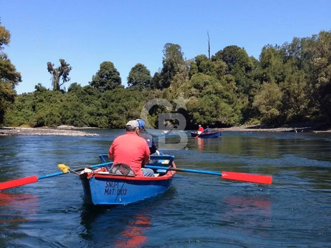 Isla Privada en Lago Ranco: Naturaleza, Privacidad y Río