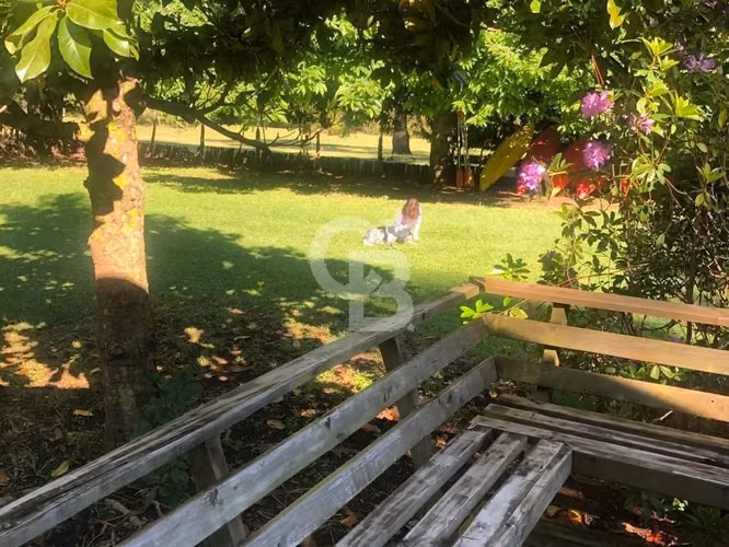 Isla Privada en Lago Ranco: Naturaleza, Privacidad y Río