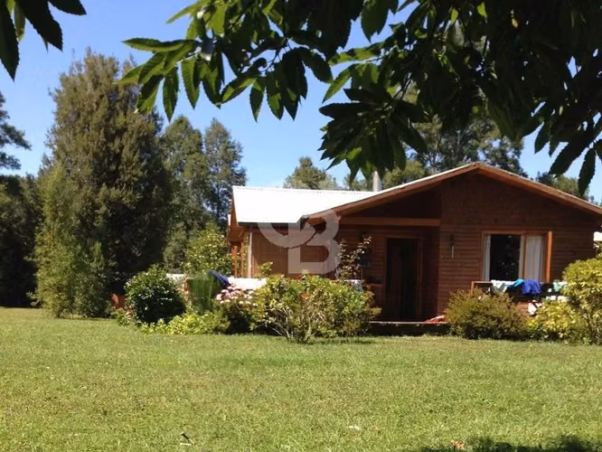 Isla Privada en Lago Ranco: Naturaleza, Privacidad y Río