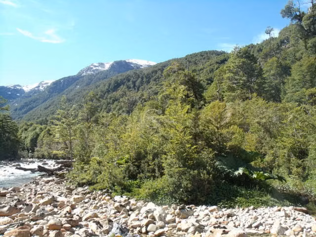 Agrícola en venta en Aysén - Imagen 7