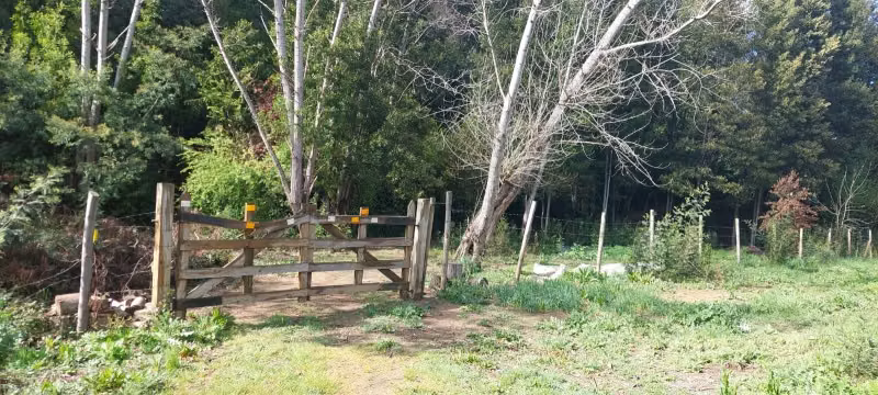 PARCELA  RUTA 146, VILLA ROMA SECTOR CRUCE AGUA DE LA GLORIA - Imagen 2