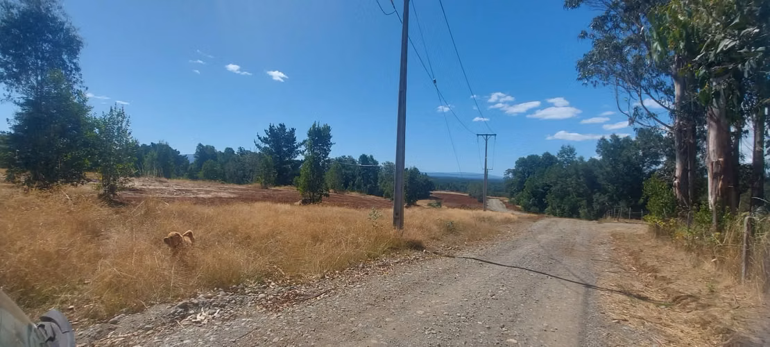Parcela a 15 minutos de Valdivia - Imagen 3