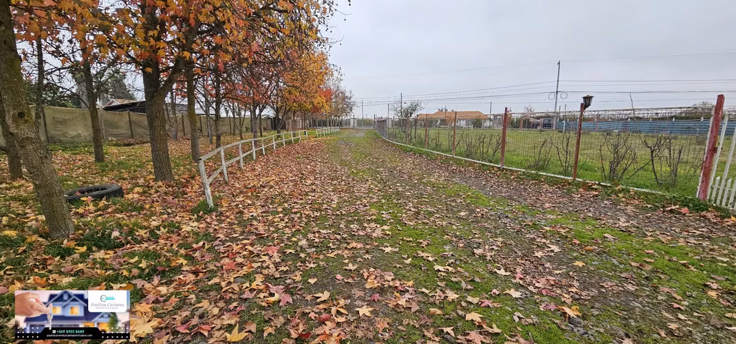 VENDO PROPIEDAD EN RAUCO, SECTOR EL PLUMERO ORILLA CAMINO ASFALTADO
