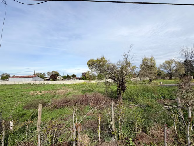 OCASION TERRENO BULNES - Imagen 8