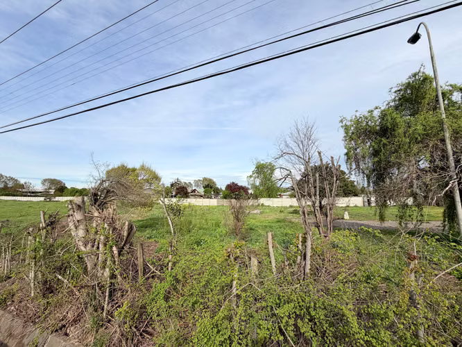OCASION TERRENO BULNES - Imagen 7
