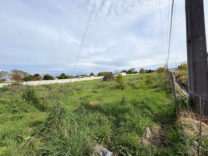 OCASION TERRENO BULNES - Imagen 14