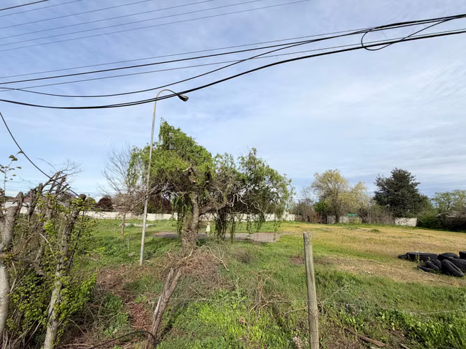 OCASION TERRENO BULNES - Imagen 6