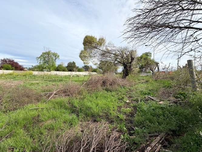OCASION TERRENO BULNES