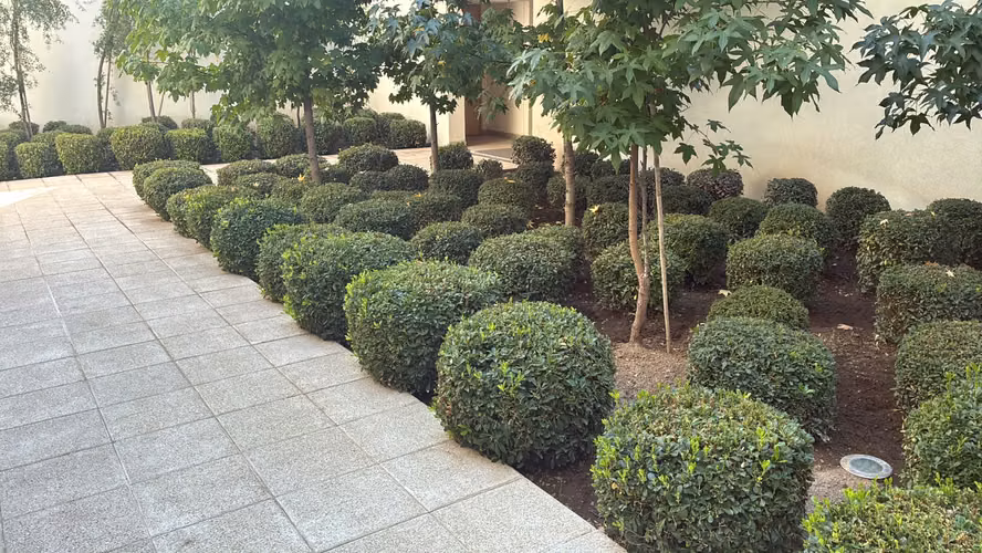 jardinero