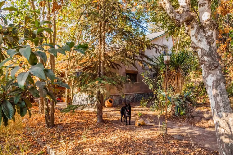 Acogedora casa con piscina en lo cañas, la florida - Imagen 19