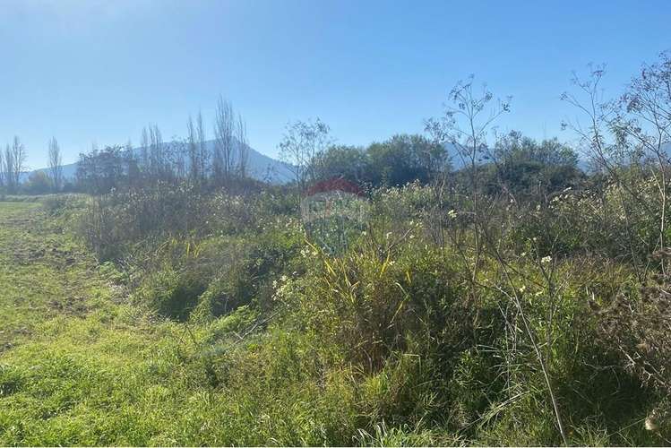 Parcela en pichidegua bajamos el precio