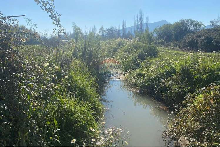 Parcela en pichidegua bajamos el precio