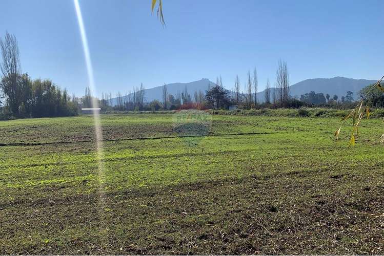 Parcela en pichidegua bajamos el precio