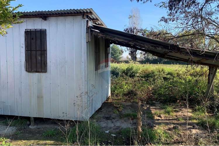 Parcela en pichidegua bajamos el precio