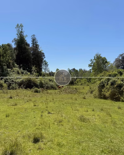 Parcela de 4,9 hectáreas - Cunco - Imagen 7