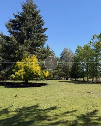 4,9 Hectáreas / Orilla de Rio Allipen - Imagen 5