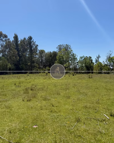 4,9 Hectáreas / Orilla de Rio Allipen - Imagen 10