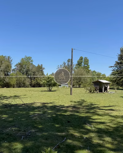 Parcela de 4,9 hectáreas - Cunco - Imagen 4