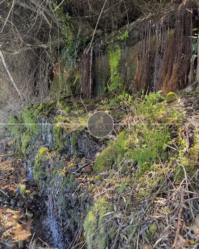Parcela de 4,9 hectáreas - Cunco - Imagen 8