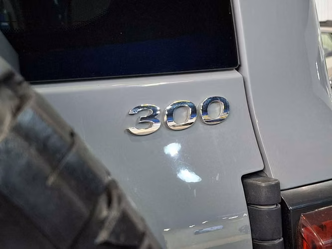 GREAT WALL TANK 300 2024 - Imagen 10