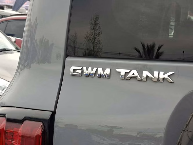 GREAT WALL TANK 300 2025 - Imagen 9