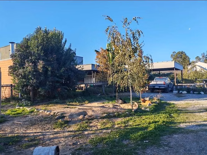 Parcela 5.000 m² 2 Casas Linares Oportunidad - Imagen 20