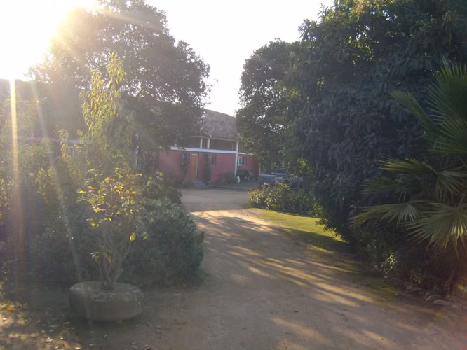 Terreno agrícola con derechos de agua - Imagen 8
