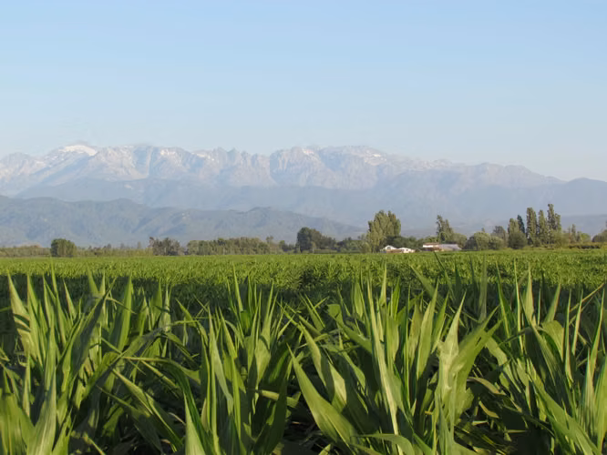 Terreno agrícola con derechos de agua - Imagen 13