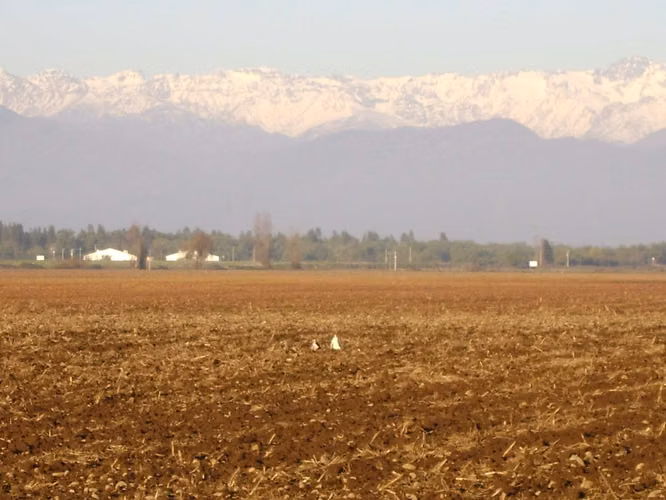 Terreno agrícola con derechos de agua - Imagen 5