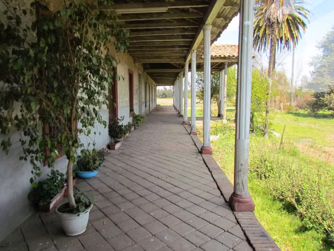 Terreno agrícola con derechos de agua - Imagen 15
