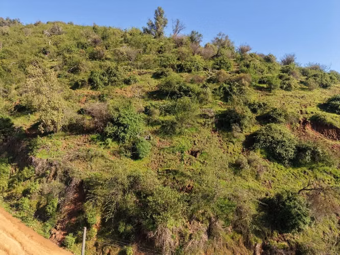 PARCELA 5000 M2 CON ROL, MANANTIALES DE MELIPILLA