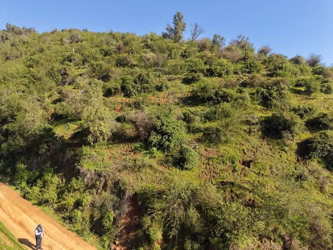 PARCELA 5000 M2 CON ROL, MANANTIALES DE MELIPILLA